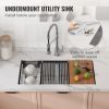 VEVOR Kitchen Sink, 304 Stainless Steel Drop-In Sinks, Undermount Double Bowls Basin with Ledge and Accessories